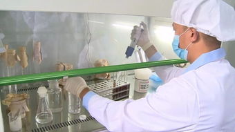 通城縣質檢中心 精準檢測，為企護航，把好產品質量與室內環境安全關
